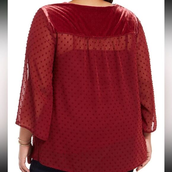 Style & Co Eyelet Red Swiss Dot Velvet Velour Yoke Top Blouse 3X NWT - Picture 2 of 11